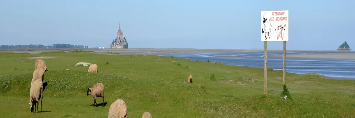 Image Installateur spa et jacuzzi Manche