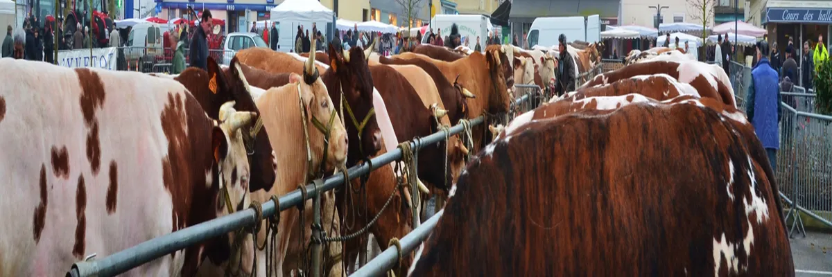 Image Installateur spa et jacuzzi Yvetot