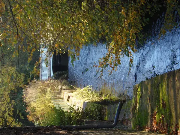 Installateur Spa Normandie Installateur spa et jacuzzi Saint-Pierre-du-Regard